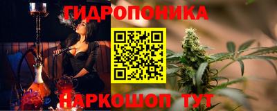 каннабис Ачхой-Мартан