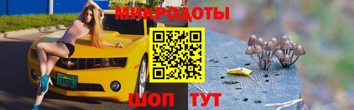 Псилоцибиновые грибы ЛСД  Галлюциногенные грибы Psilocybe  Астрахань  как найти закладки  Вход с VPN 